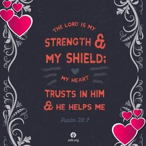 Meet your Posher, Shannon